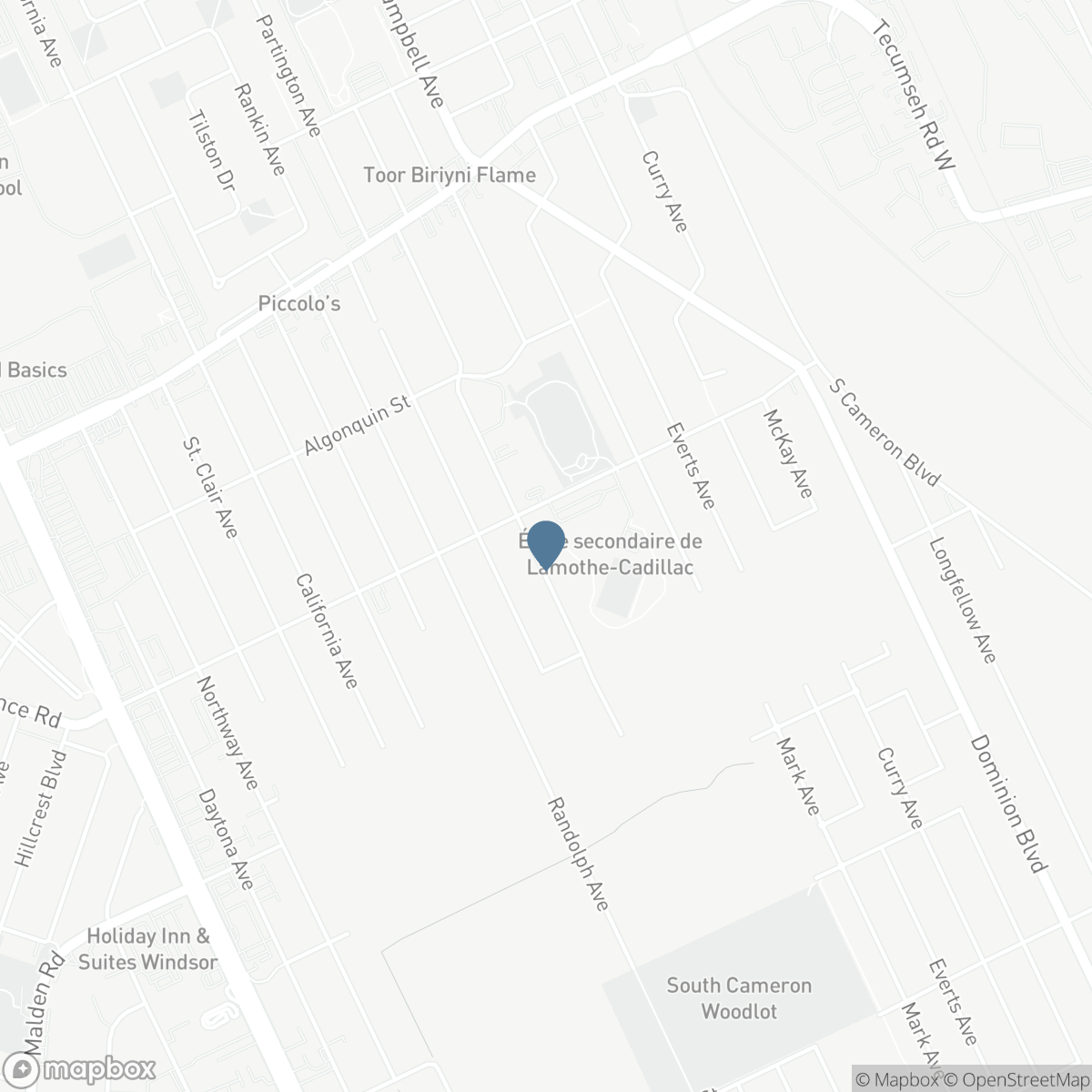 1720 PARTINGTON, Windsor, Ontario N8W 3R8